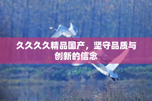 久久久久精品国产，坚守品质与创新的信念