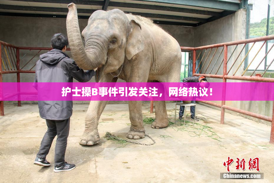 护士搡B事件引发关注，网络热议！