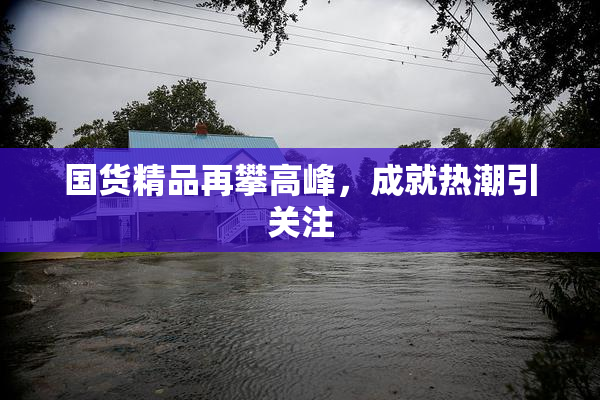 国货精品再攀高峰，成就热潮引关注