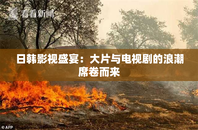 日韩影视盛宴：大片与电视剧的浪潮席卷而来