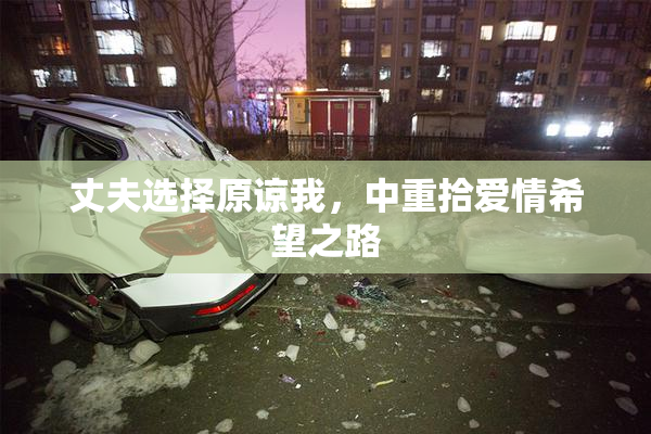 丈夫选择原谅我，中重拾爱情希望之路