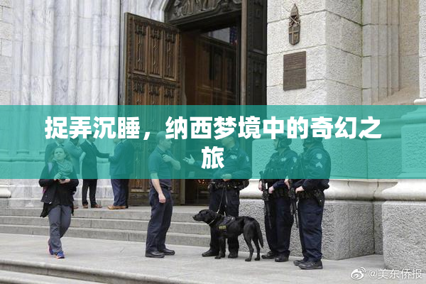 捉弄沉睡，纳西梦境中的奇幻之旅