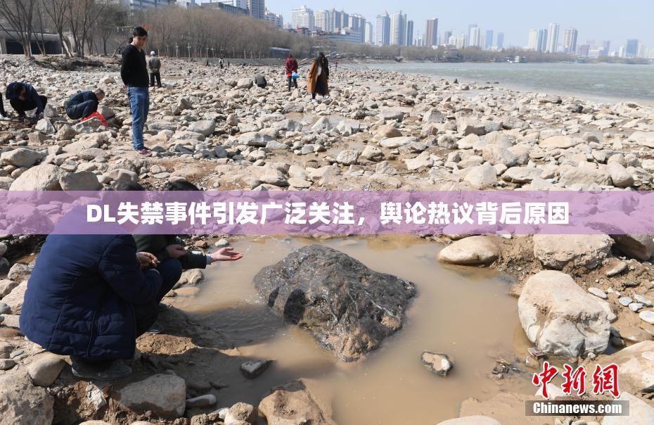 DL失禁事件引发广泛关注，舆论热议背后原因