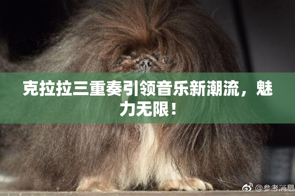 克拉拉三重奏引领音乐新潮流，魅力无限！