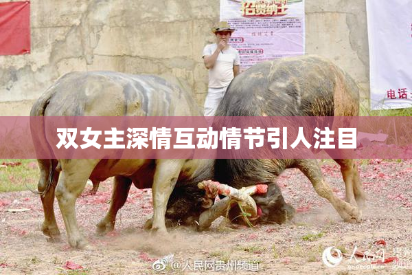 双女主深情互动情节引人注目