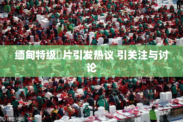 缅甸特级婬片引发热议 引关注与讨论