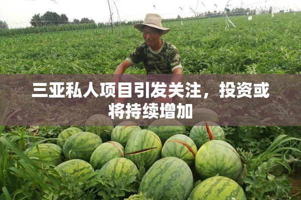 三亚私人项目引发关注，投资或将持续增加