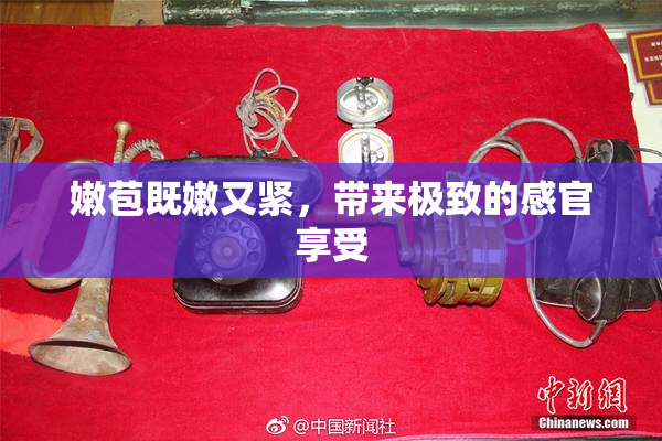 嫩苞既嫩又紧，带来极致的感官享受