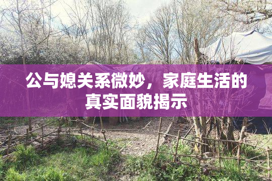 公与媳关系微妙，家庭生活的真实面貌揭示
