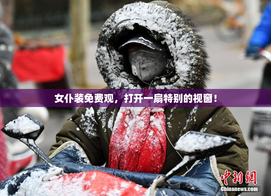 女仆装免费观，打开一扇特别的视窗！