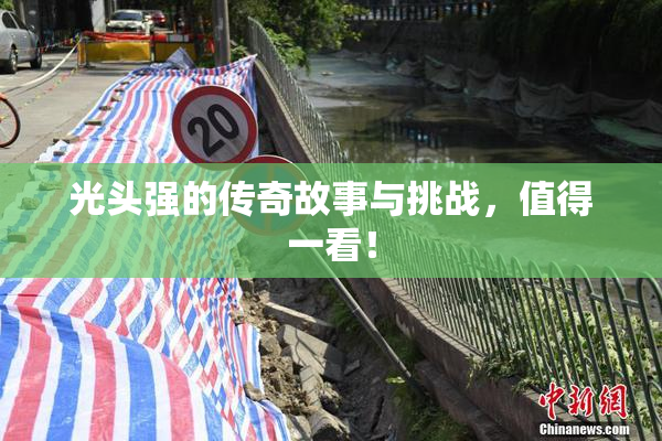 光头强的传奇故事与挑战，值得一看！