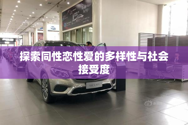 探索同性恋性爱的多样性与社会接受度