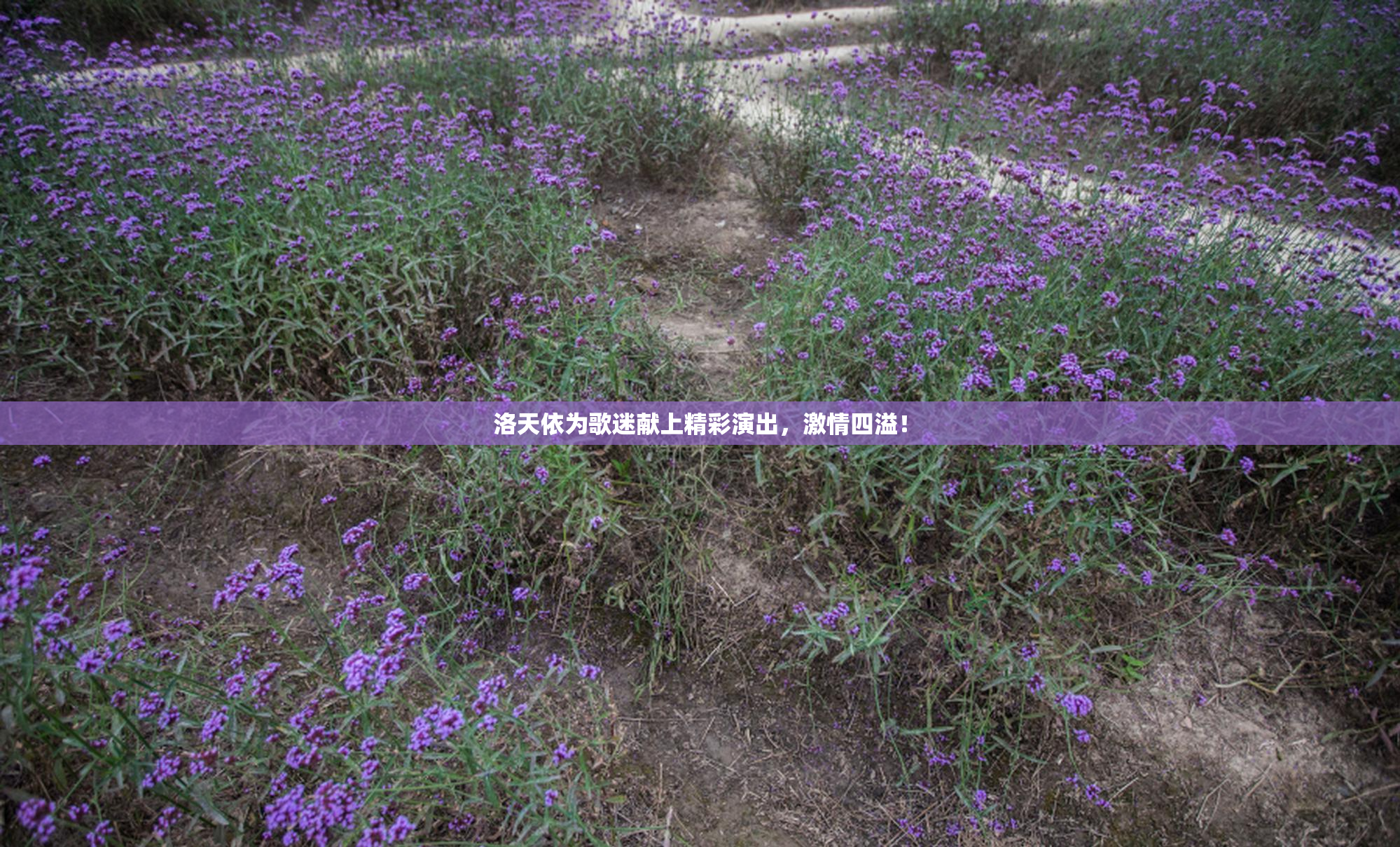洛天依为歌迷献上精彩演出，激情四溢！