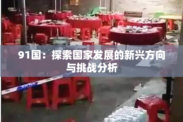 91国：探索国家发展的新兴方向与挑战分析