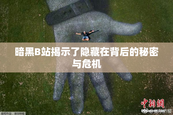 暗黑B站揭示了隐藏在背后的秘密与危机