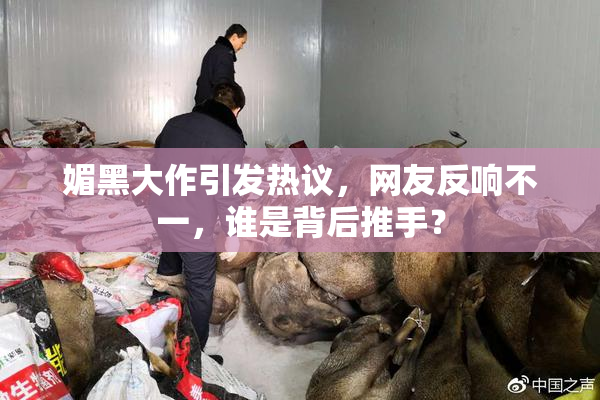 媚黑大作引发热议，网友反响不一，谁是背后推手？