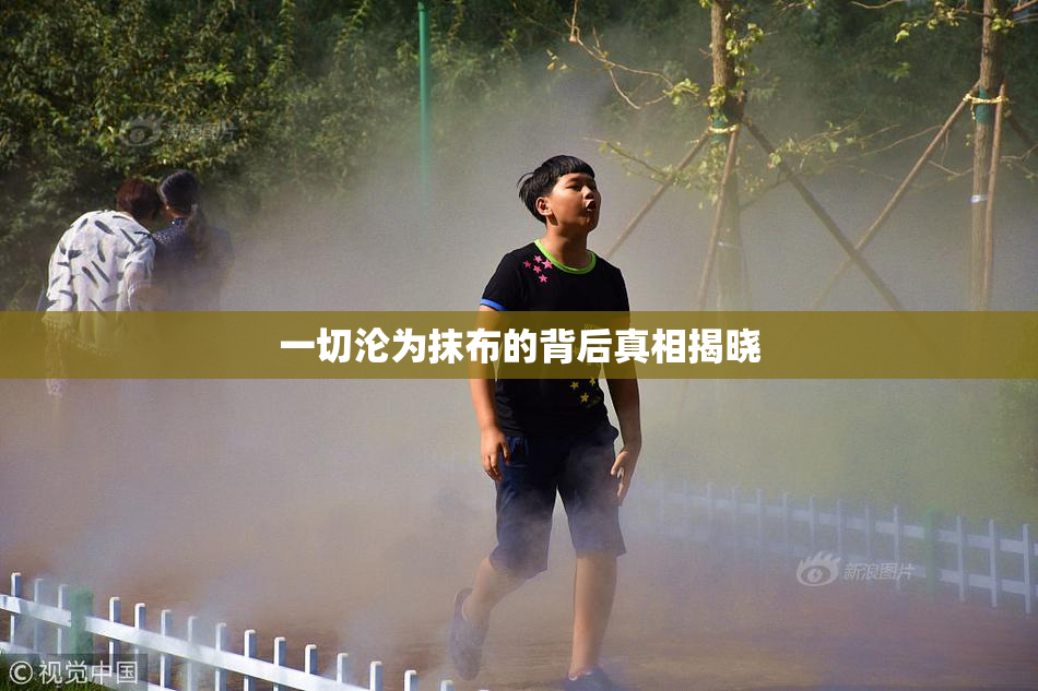 一切沦为抹布的背后真相揭晓