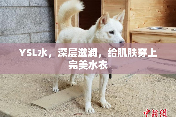 YSL水，深层滋润，给肌肤穿上完美水衣