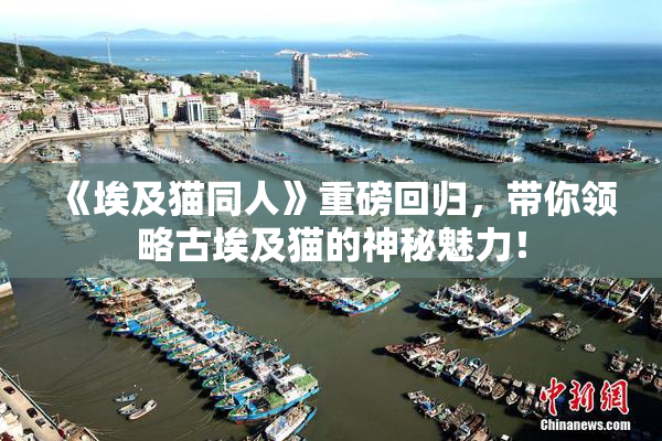 《埃及猫同人》重磅回归，带你领略古埃及猫的神秘魅力！