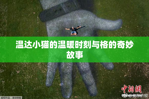 温达小猫的温暖时刻与格的奇妙故事