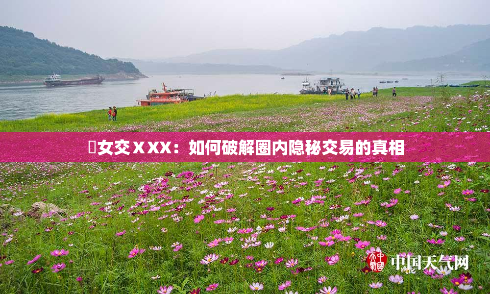 乣女交ⅩXX：如何破解圈内隐秘交易的真相