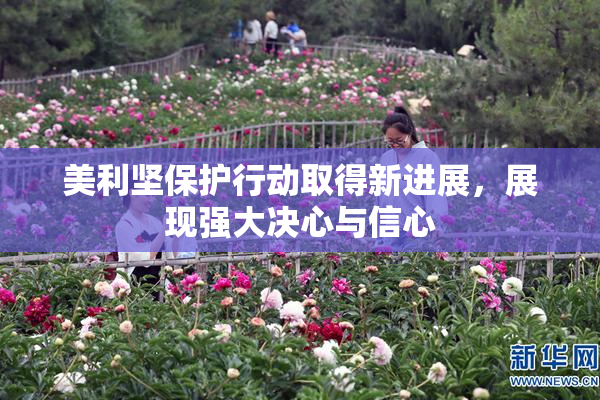 美利坚保护行动取得新进展，展现强大决心与信心