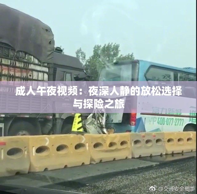 成人午夜视频：夜深人静的放松选择与探险之旅