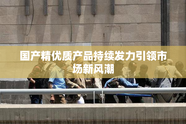 国产精优质产品持续发力引领市场新风潮
