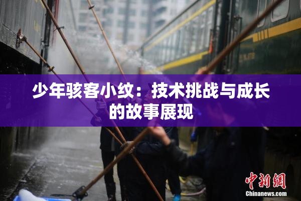 少年骇客小纹：技术挑战与成长的故事展现