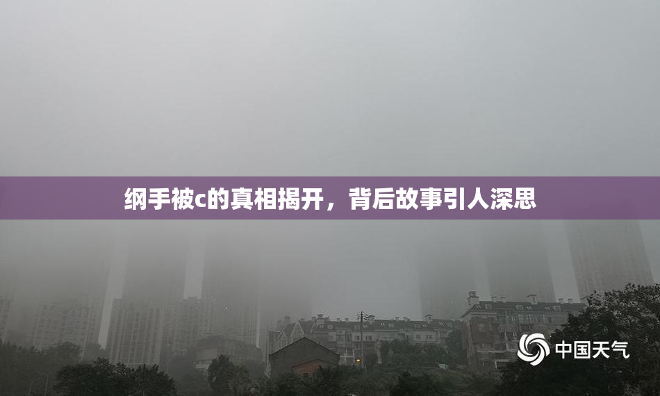 纲手被c的真相揭开，背后故事引人深思
