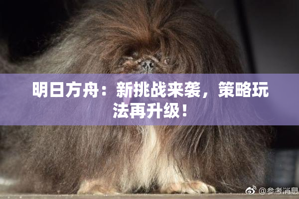 明日方舟：新挑战来袭，策略玩法再升级！