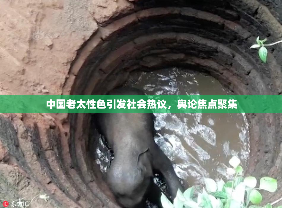 中国老太性色引发社会热议，舆论焦点聚集