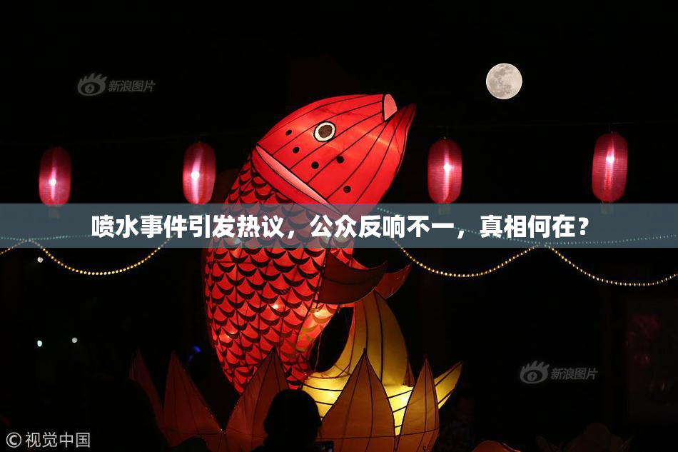 喷水事件引发热议，公众反响不一，真相何在？