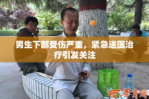 男生下部受伤严重，紧急送医治疗引发关注