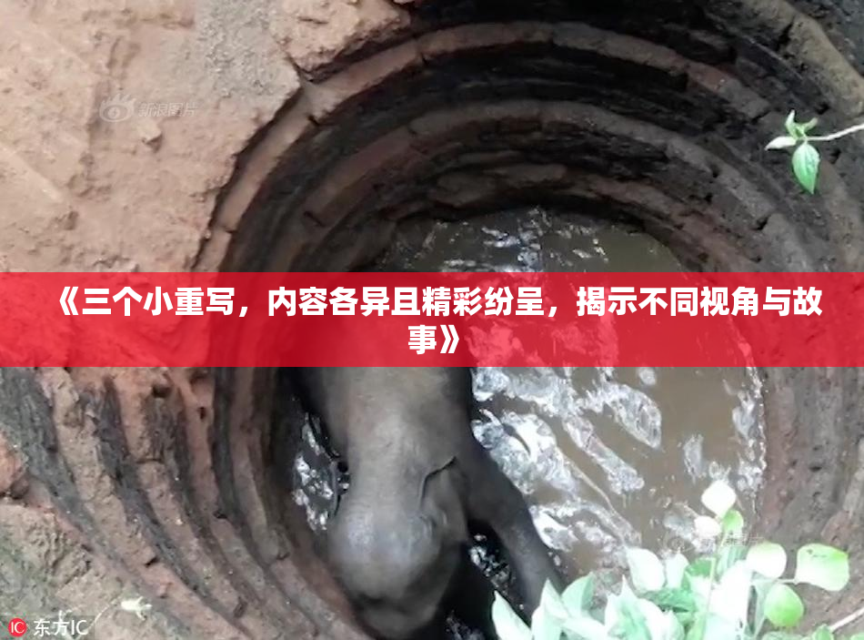 《三个小重写，内容各异且精彩纷呈，揭示不同视角与故事》