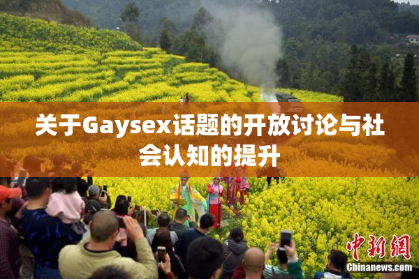 关于Gaysex话题的开放讨论与社会认知的提升