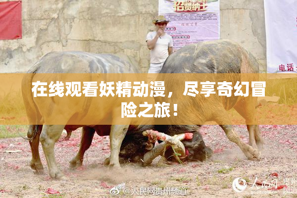在线观看妖精动漫，尽享奇幻冒险之旅！