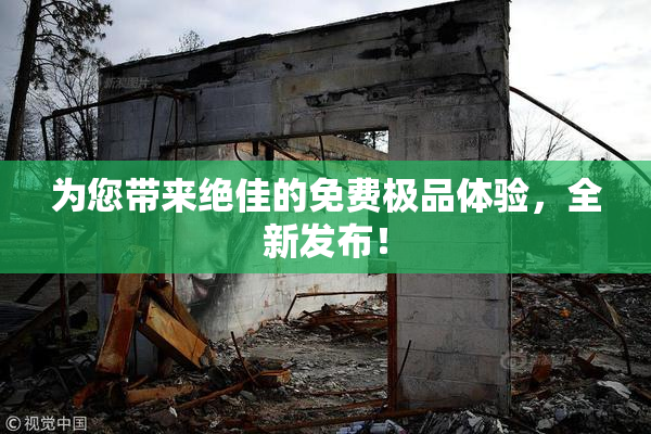 为您带来绝佳的免费极品体验，全新发布！