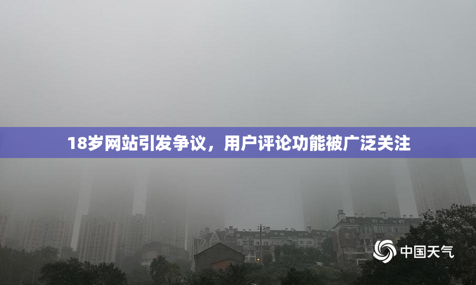 18岁网站引发争议，用户评论功能被广泛关注
