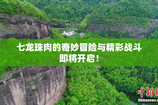 七龙珠肉的奇妙冒险与精彩战斗即将开启！
