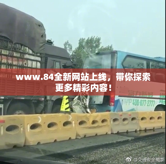 www.84全新网站上线，带你探索更多精彩内容！