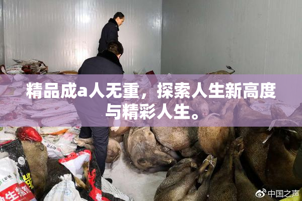 精品成a人无重，探索人生新高度与精彩人生。