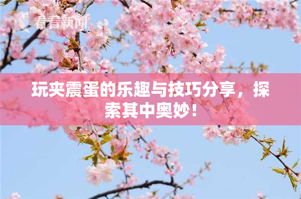 玩夹震蛋的乐趣与技巧分享，探索其中奥妙！