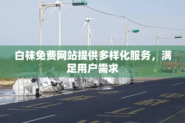 白袜免费网站提供多样化服务，满足用户需求