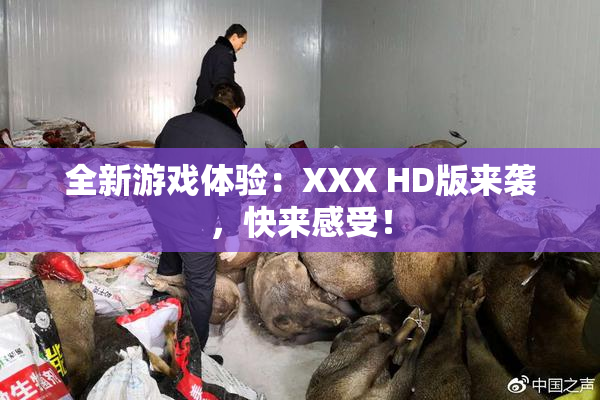 全新游戏体验：XXX HD版来袭，快来感受！