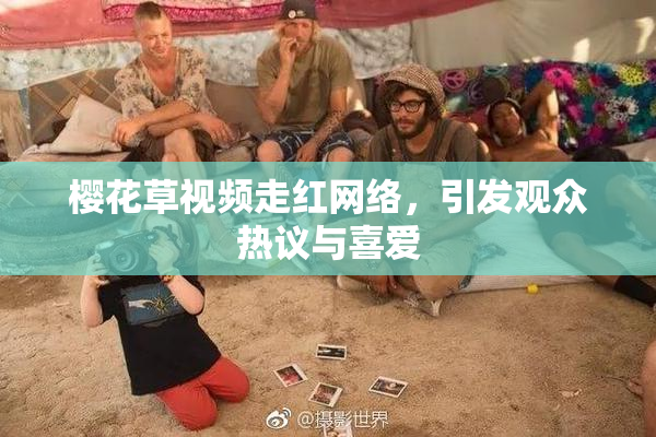 樱花草视频走红网络，引发观众热议与喜爱