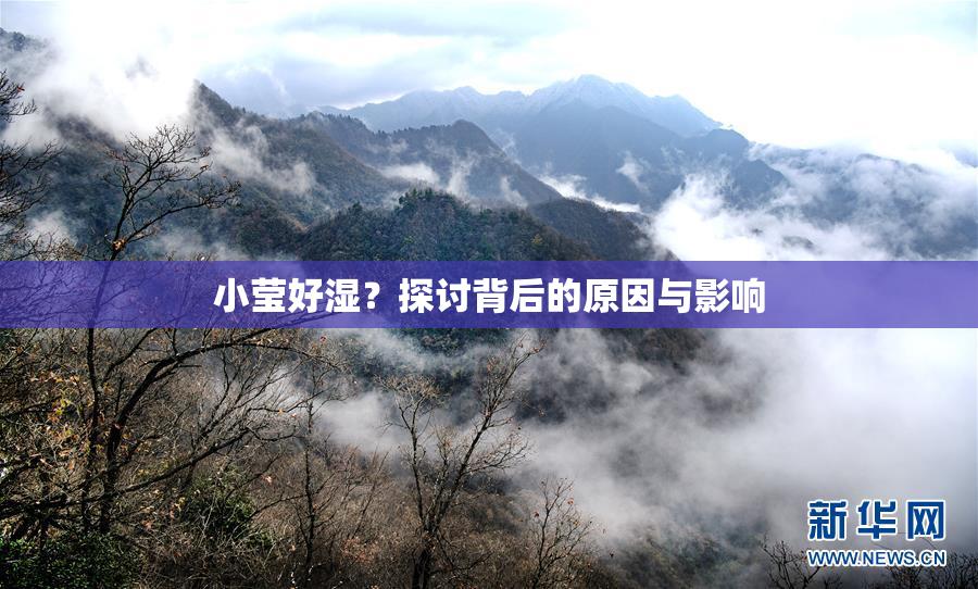 小莹好湿？探讨背后的原因与影响