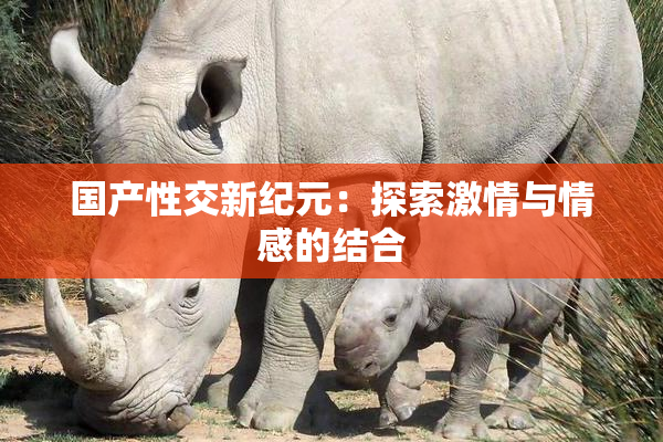 国产性交新纪元：探索激情与情感的结合