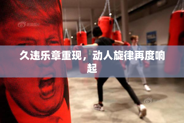 久违乐章重现，动人旋律再度响起