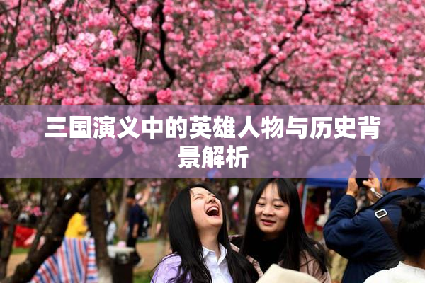 三国演义中的英雄人物与历史背景解析